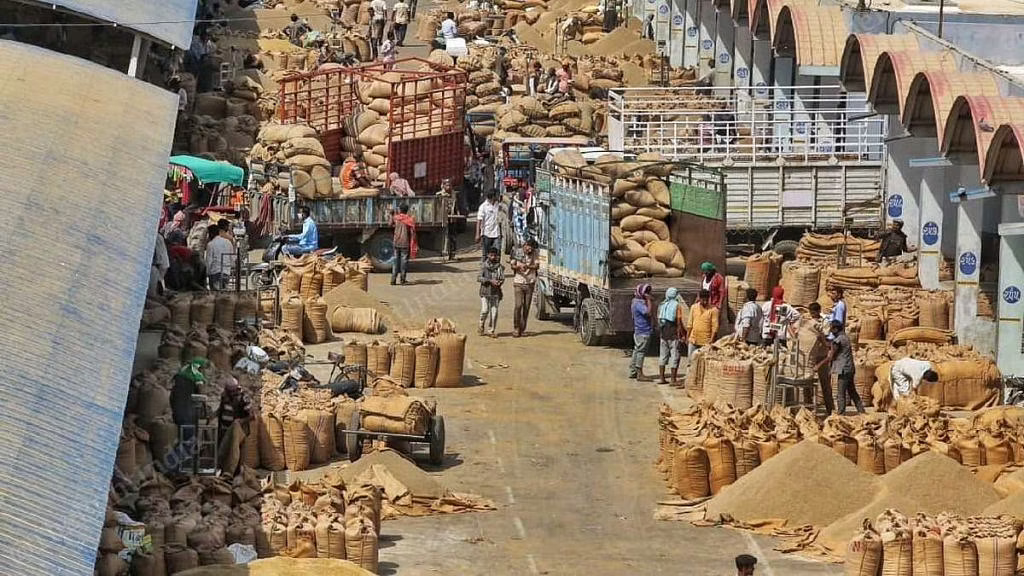 APMC UNJHA PHOTO why is unjha famous and important for spices