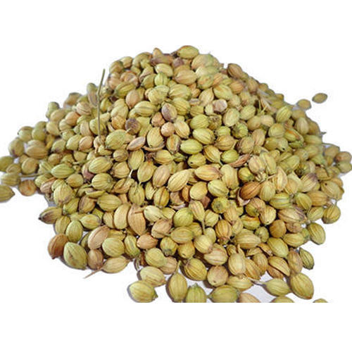 eagle quality coriander seeds suman exports