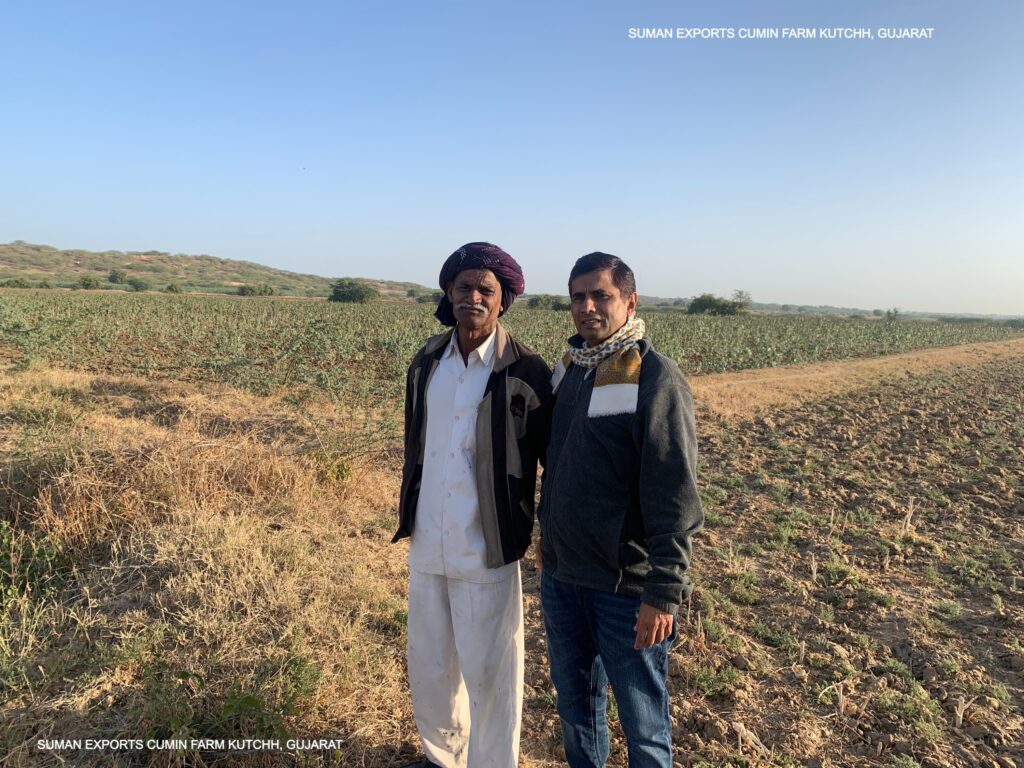 SUMAN EXPORTS CUMIN FARM KUTCHH, GUJARAT