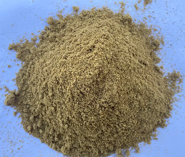 Coriander Powder